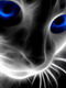 Immagine profilo di gattofantasma34